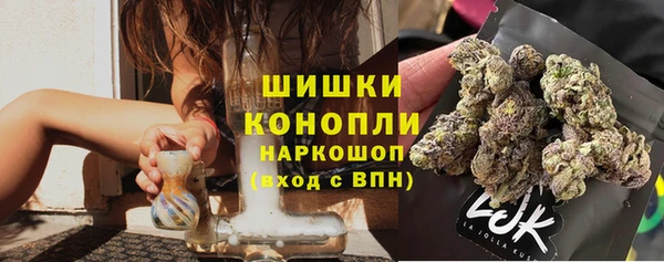 сатива Волосово