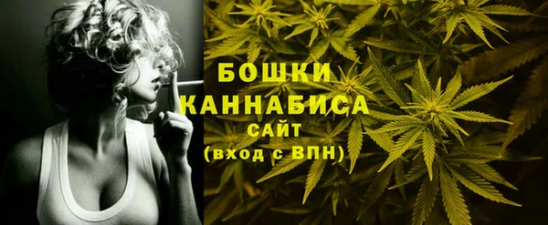 сатива Волосово