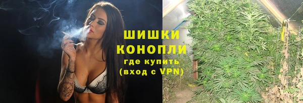 сатива Волосово