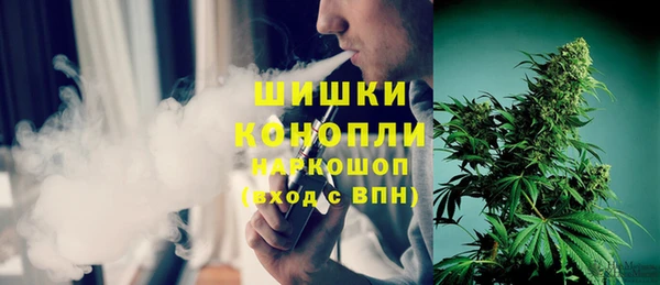 сатива Волосово