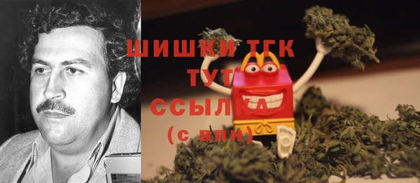 сатива Волосово